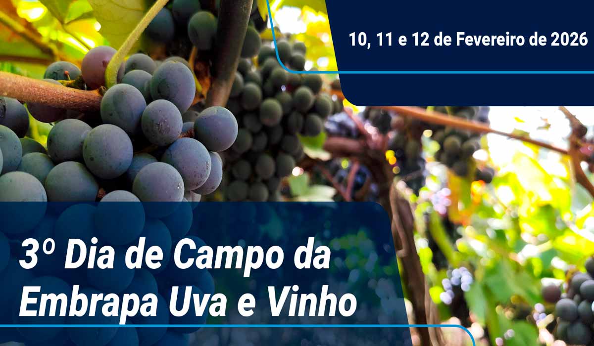 Embrapa Uva e Vinho abre inscrições para o 3º Dia de Campo