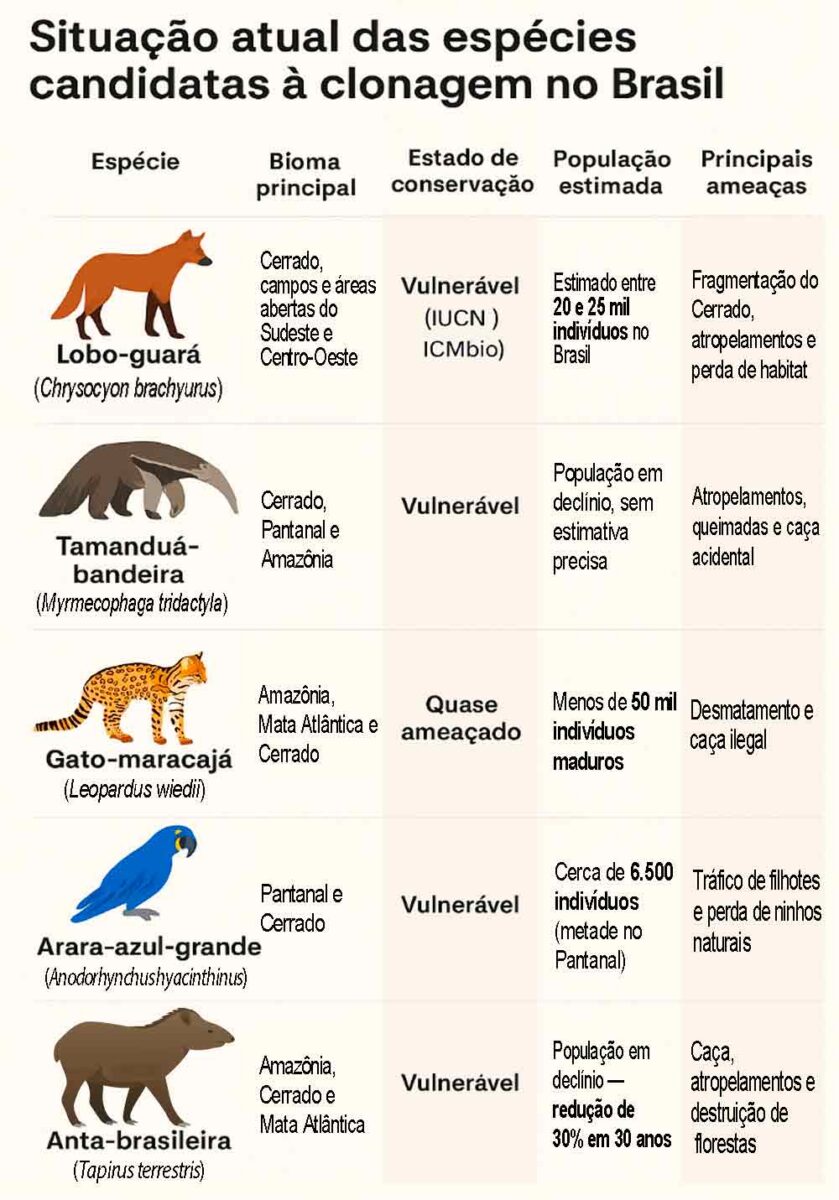 Situação atual das espécies candidatas à clonagem no Brasil Situação atual das espécies candidatas à clonagem no Brasil