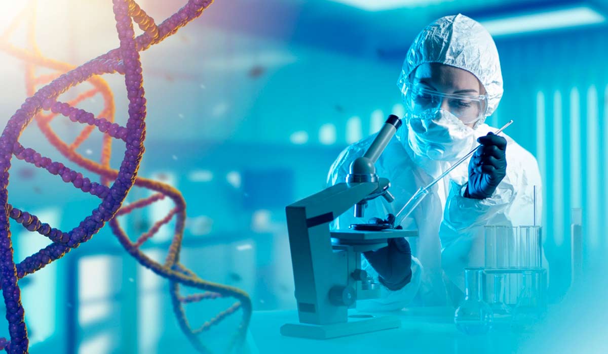 Ciência – Animais que podem ser clonados no Brasil