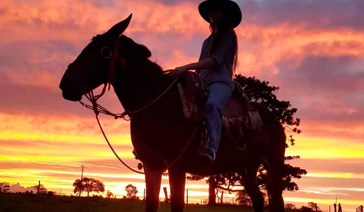 Encontro de Muladeiros de Iporá (GO) 2026