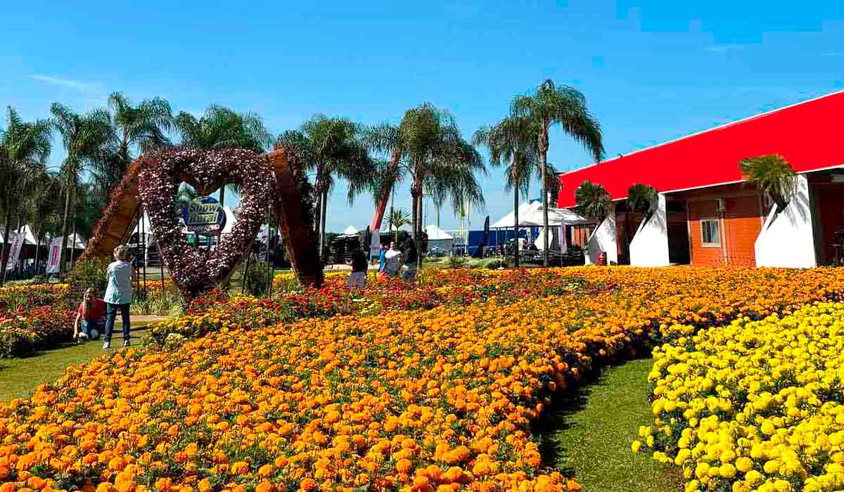 As flores garantem tradicionalmente um espetáculos de cores na feira As flores garantem tradicionalmente um espetáculos de cores na feira
