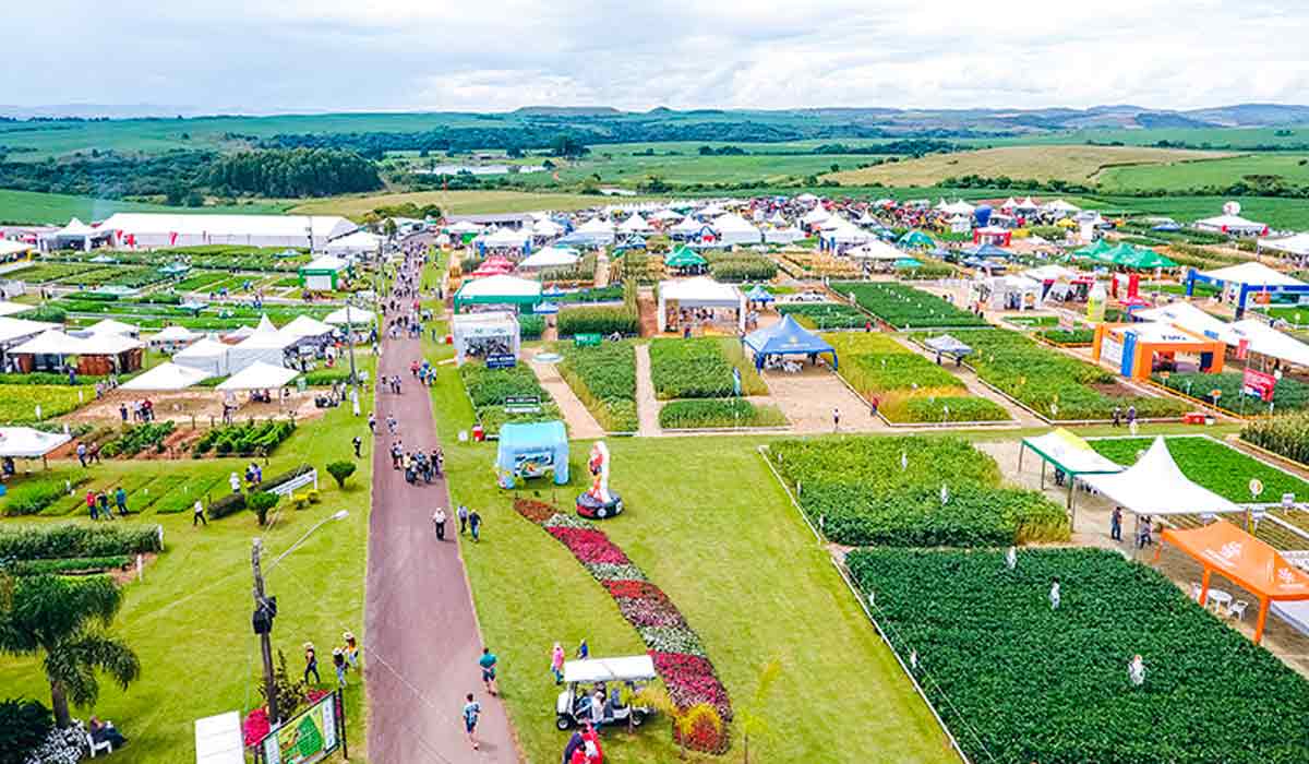 Vista da área do parque Vista da área do parque