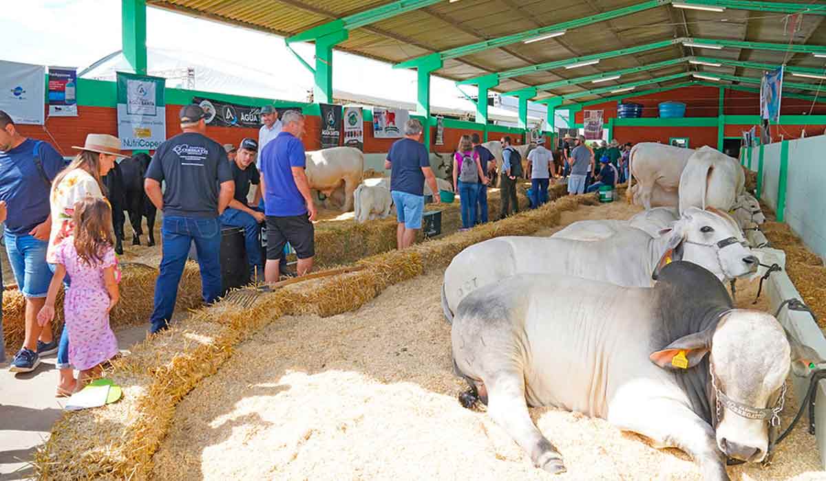 Os animais são atração especial no evento Os animais são atração especial no evento