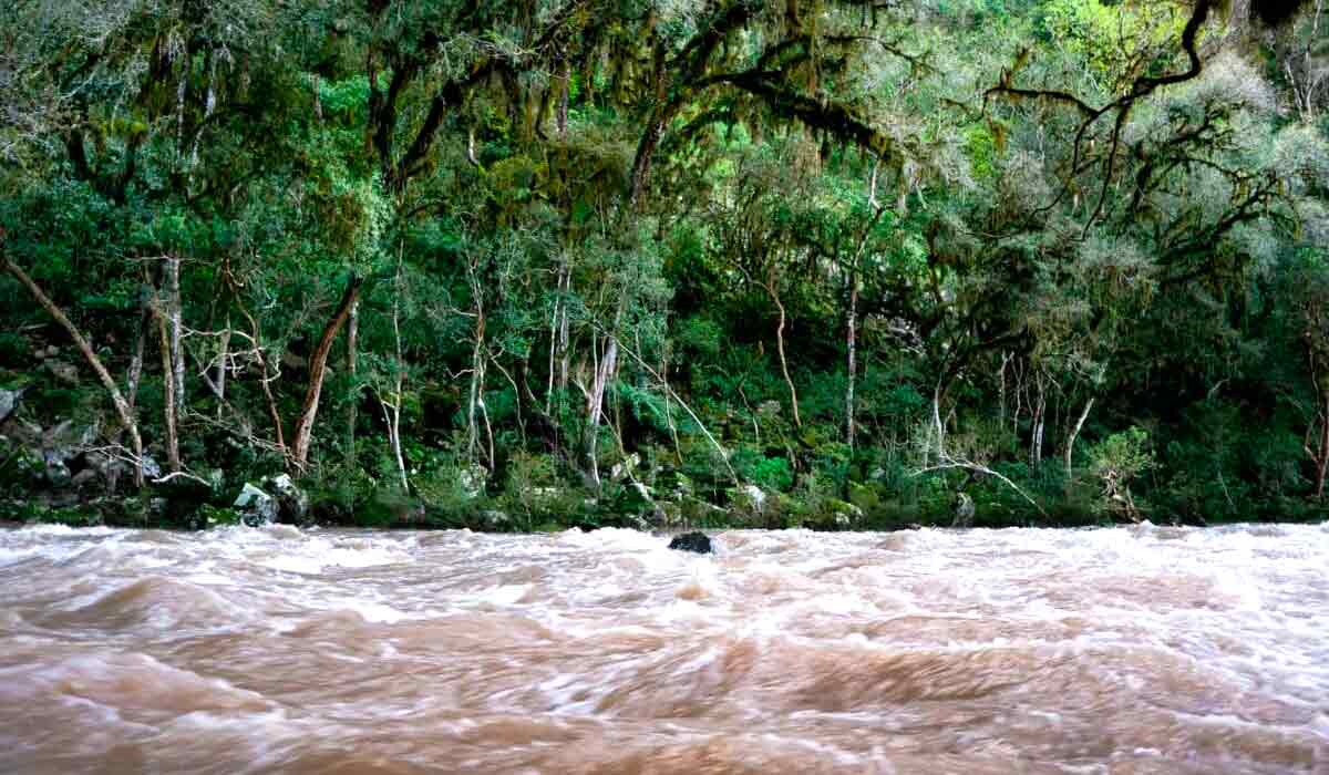 Trecho do Rio Forqueta - Foto: Thamys Trindade Trecho do Rio Forqueta - Foto: Thamys Trindade