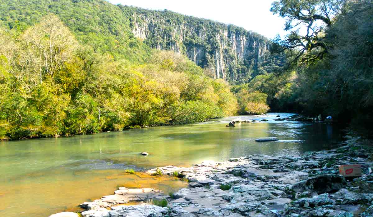 Sítio reprodutivo de Melanophryniscus admirabilis em Perau de Janeiro, Arvorezinha, Rio Grande do Sul, Brasil - Foto: Michelle Abadie Sítio reprodutivo de Melanophryniscus admirabilis em Perau de Janeiro, Arvorezinha, Rio Grande do Sul, Brasil - Foto: Michelle Abadie