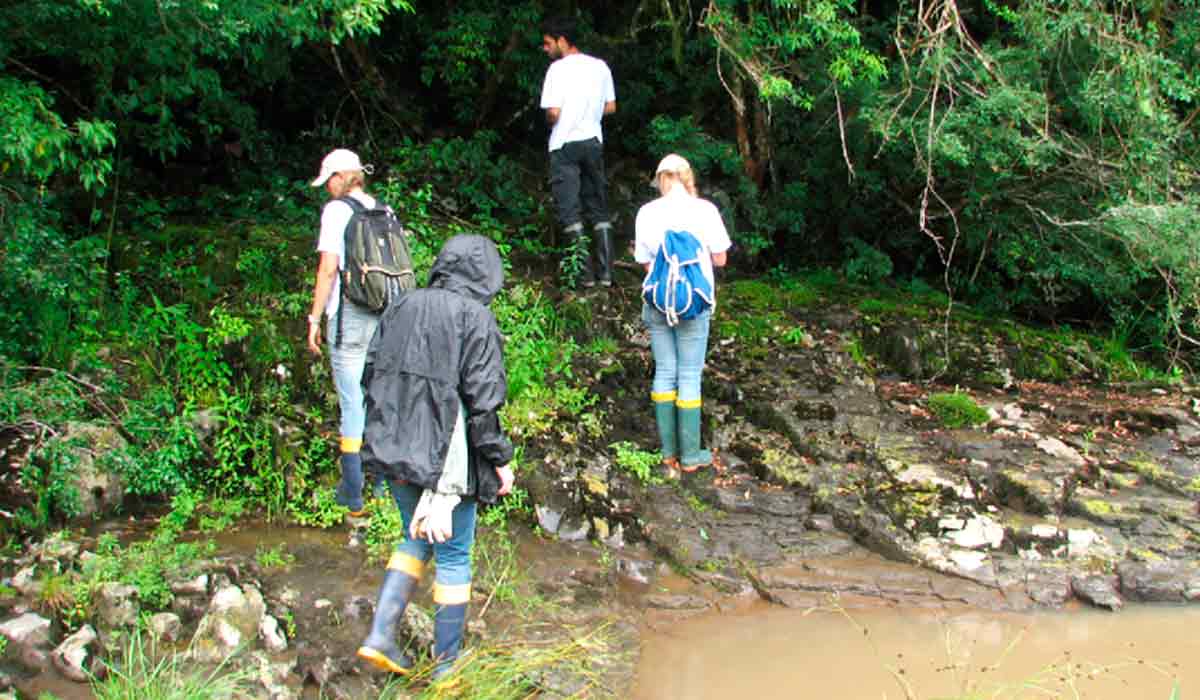 Equipe durante trabalho de campo em busca de indivíduos de Melanophryniscus admirabilis - Foto: Márcio Borges Martins Equipe durante trabalho de campo em busca de indivíduos de Melanophryniscus admirabilis - Foto: Márcio Borges Martins
