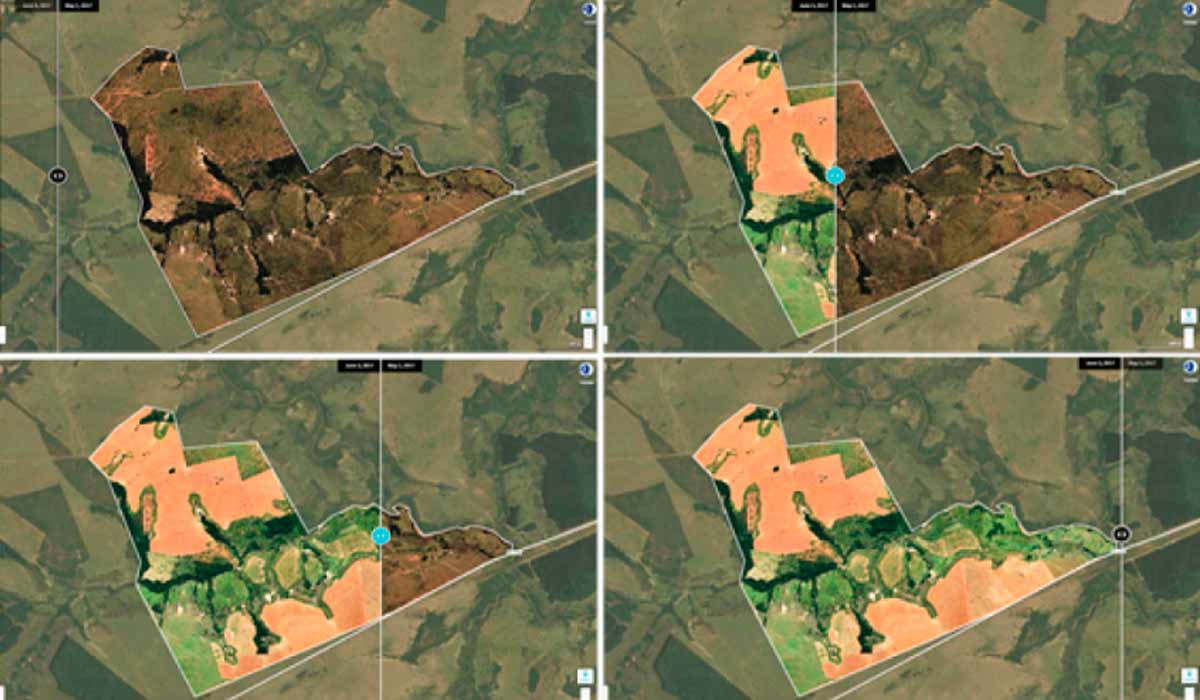 Análise multitemporal com uso de nano satélites de monitoramento para eaboração de microplanejamento da silvicultura em campo - Foto: Revista Opiniões Análise multitemporal com uso de nano satélites de monitoramento para eaboração de microplanejamento da silvicultura em campo - Foto: Revista Opiniões