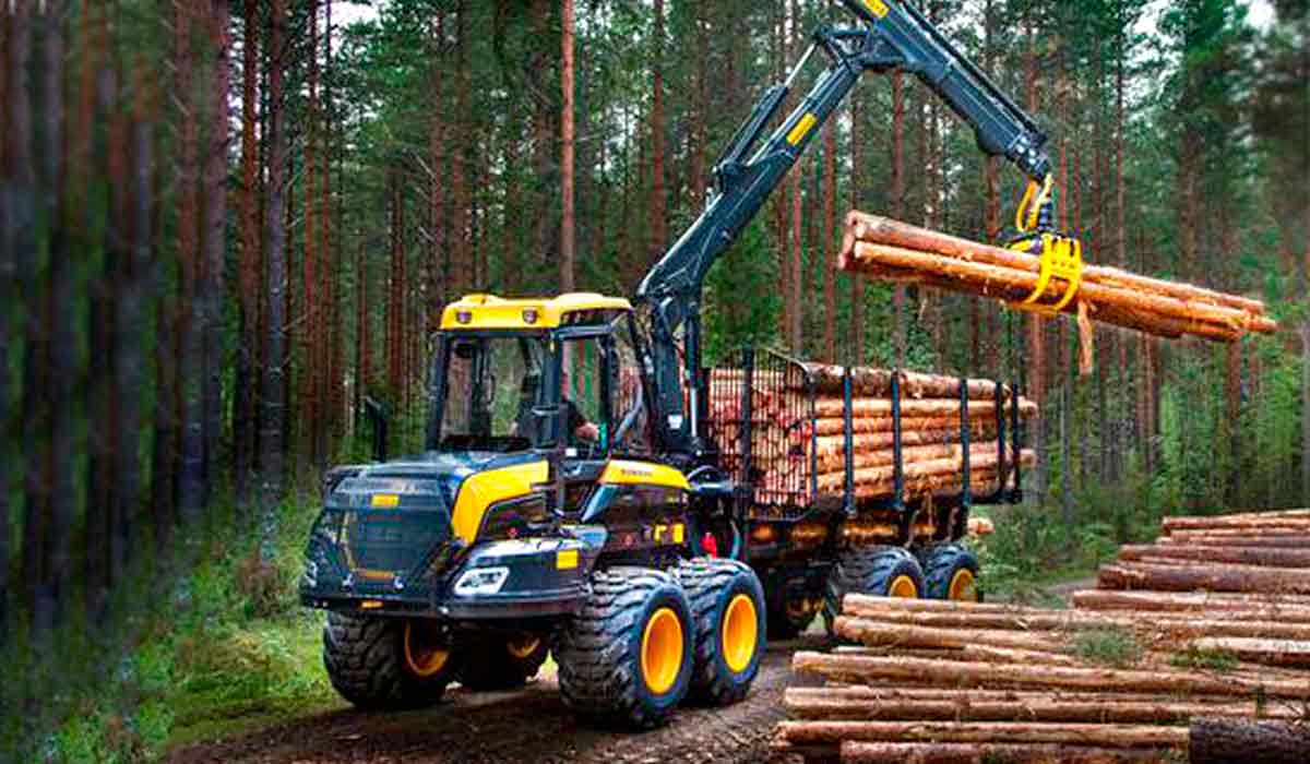 Forwarder em operação de colheita florestal Forwarder em operação de colheita florestal