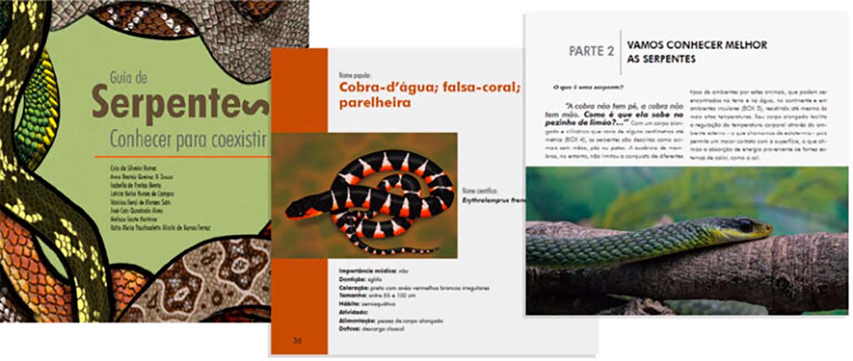 Capa e páginas do livro que tem download gratuito – Foto: Portal de Livros Abertos da USP Capa e páginas do livro que tem download gratuito – Foto: Portal de Livros Abertos da USP