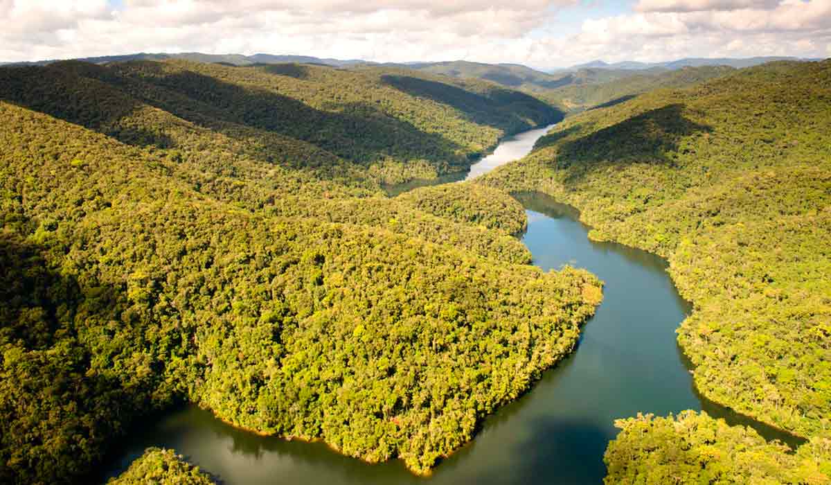 O Brasil mantém 66,3% do território com vegetação protegida O Brasil mantém 66,3% do território com vegetação protegida