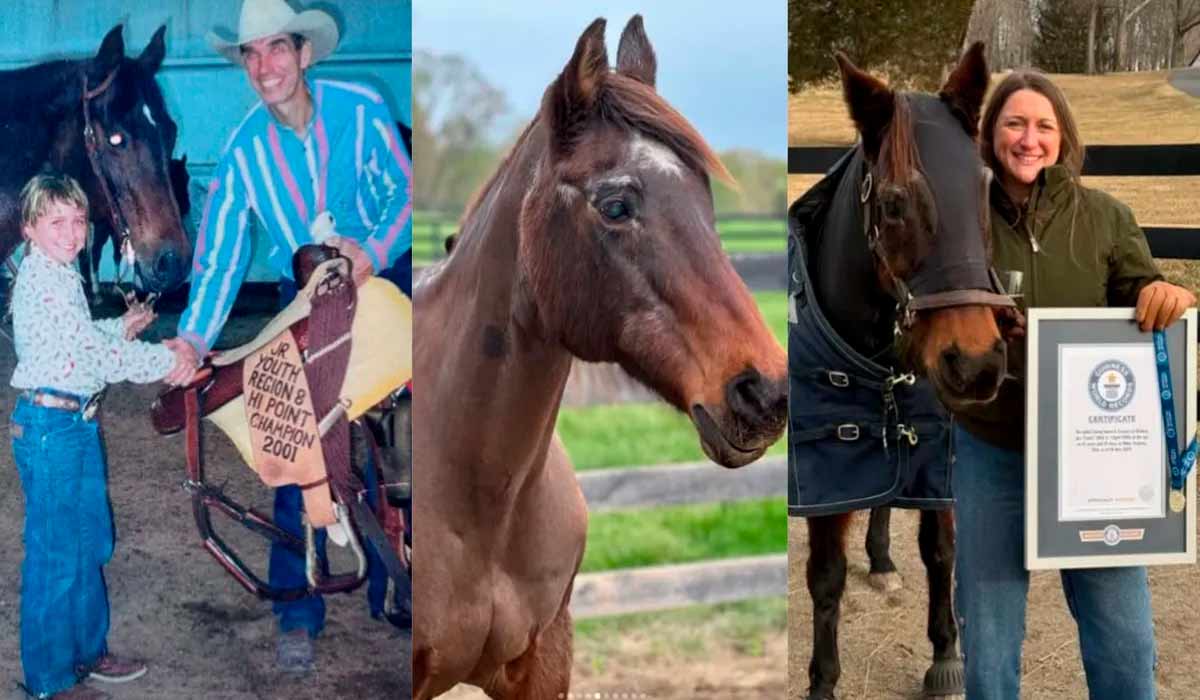 Fancy, a éguamais velha do mundo, nasceu em 1988 e é criada por Paige Sigmon Blumer desde junho de 2000 Fancy, a éguamais velha do mundo, nasceu em 1988 e é criada por Paige Sigmon Blumer desde junho de 2000