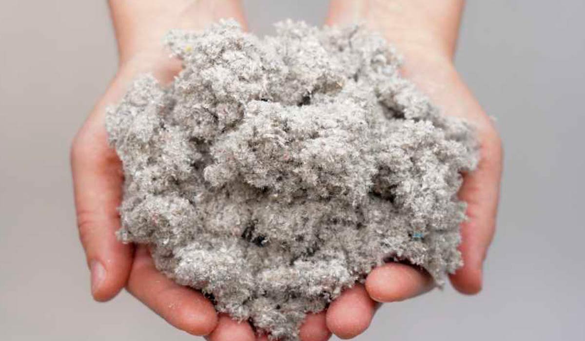 A celulose é um carboidrato presente nas árvores cujo processamento é feito, principalmente, para produzir papéis e fibras de tecidos A celulose é um carboidrato presente nas árvores cujo processamento é feito, principalmente, para produzir papéis e fibras de tecidos