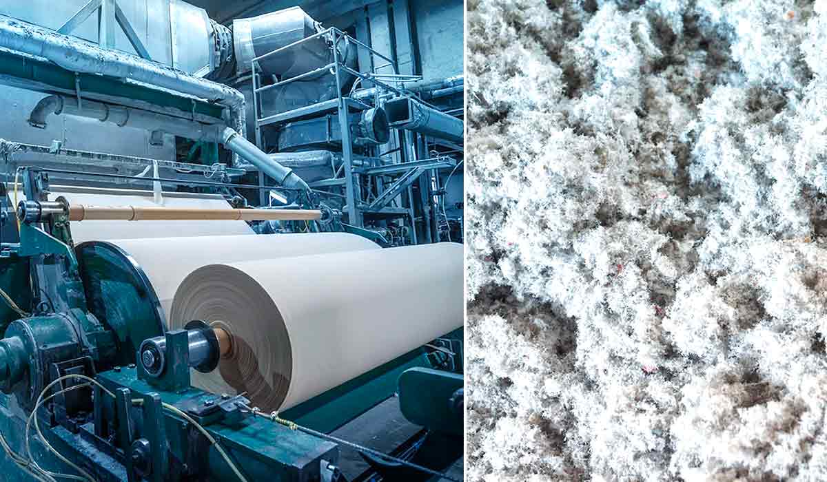 A produção de celulose é a base para a fabricação de papel e produtos à base de papel A produção de celulose é a base para a fabricação de papel e produtos à base de papel