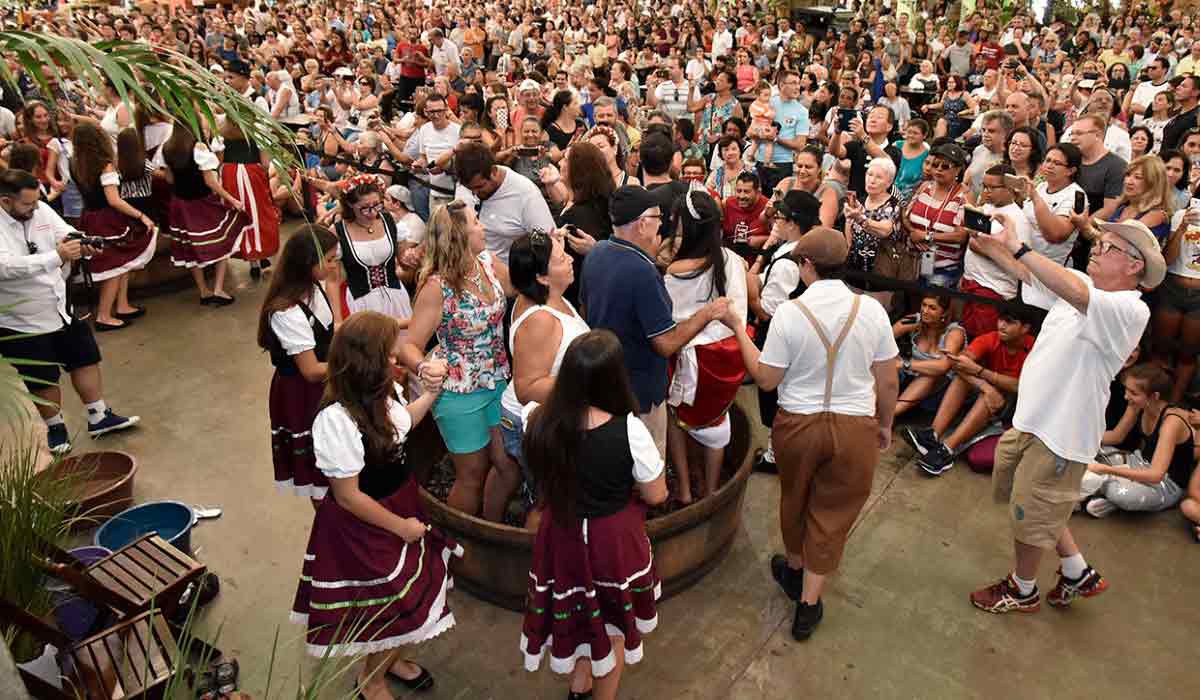 Visitantes lotam os pavilhões para acompanhar as atrações culturais e a pisa da uva. Macerar os cachos de uva com os pés para que, depois, o suco seja fermentado e se transforme em vinho é uma das atrações Visitantes lotam os pavilhões para acompanhar as atrações culturais e a pisa da uva. Macerar os cachos de uva com os pés para que, depois, o suco seja fermentado e se transforme em vinho é uma das atrações