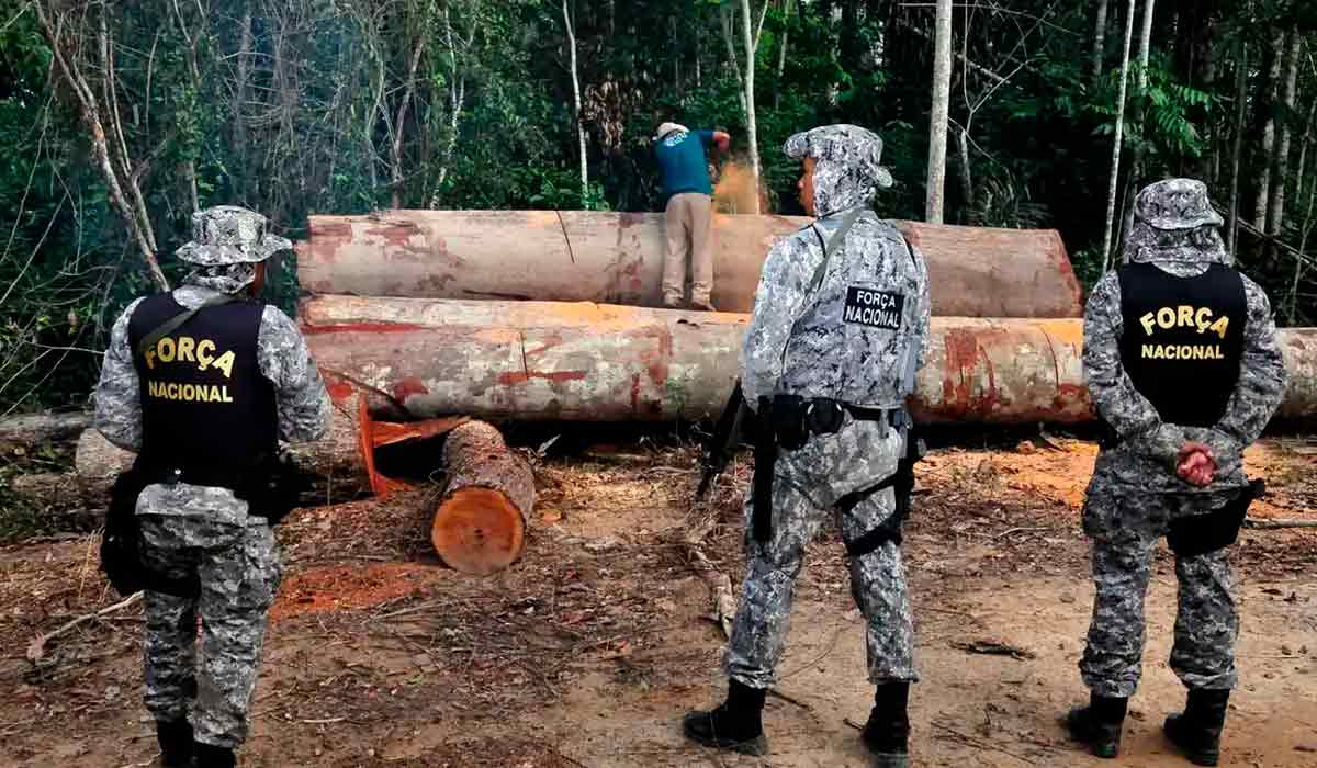 Força Nacional atuará onde pressões de desmatamento ilegal, garimpo e atividades clandestinas impactam diretamente a economia regional e o agronegócio sustentável - Foto: Mário Vilela/Funai Força Nacional atuará onde pressões de desmatamento ilegal, garimpo e atividades clandestinas impactam diretamente a economia regional e o agronegócio sustentável - Foto: Mário Vilela/Funai