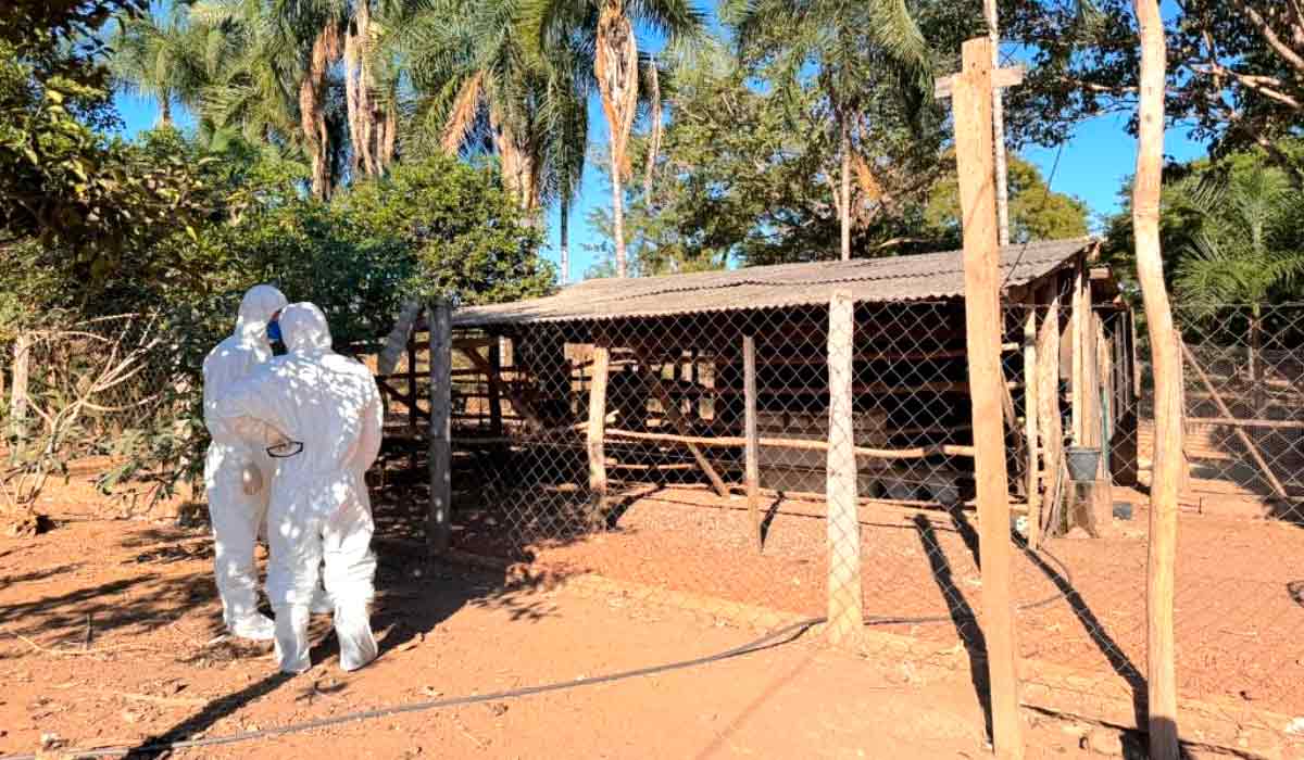 Alerta vale para criações domésticas com risco de contaminação - Foto: Indea-MT