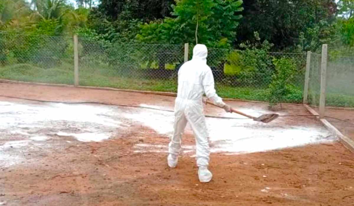 Desinfetando a área afetada Desinfetando a área afetada