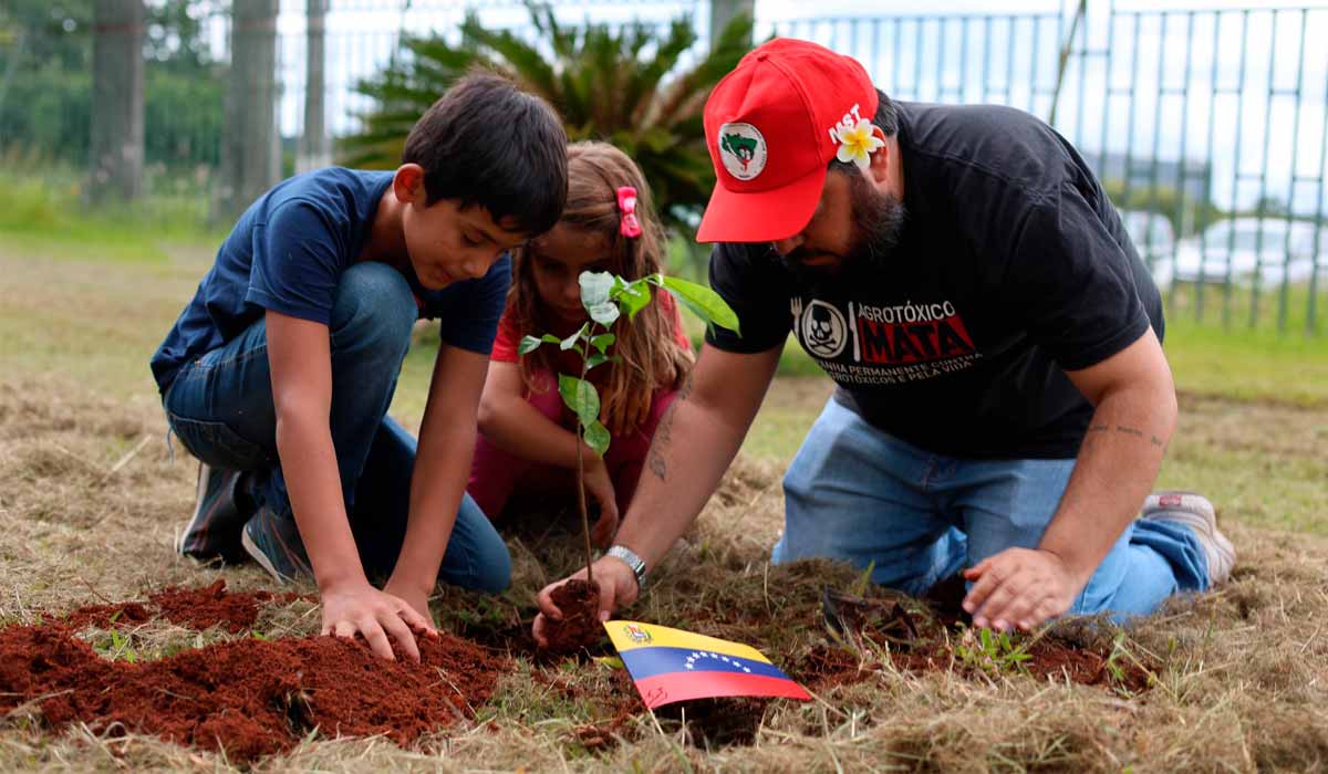 Mudas de araucária, baobá e graviola foram plantadas nas embaixadas de Cuba e Venezuela, em Brasília - Foto: Camila Araújo/MST Mudas de araucária, baobá e graviola foram plantadas nas embaixadas de Cuba e Venezuela, em Brasília - Foto: Camila Araújo/MST