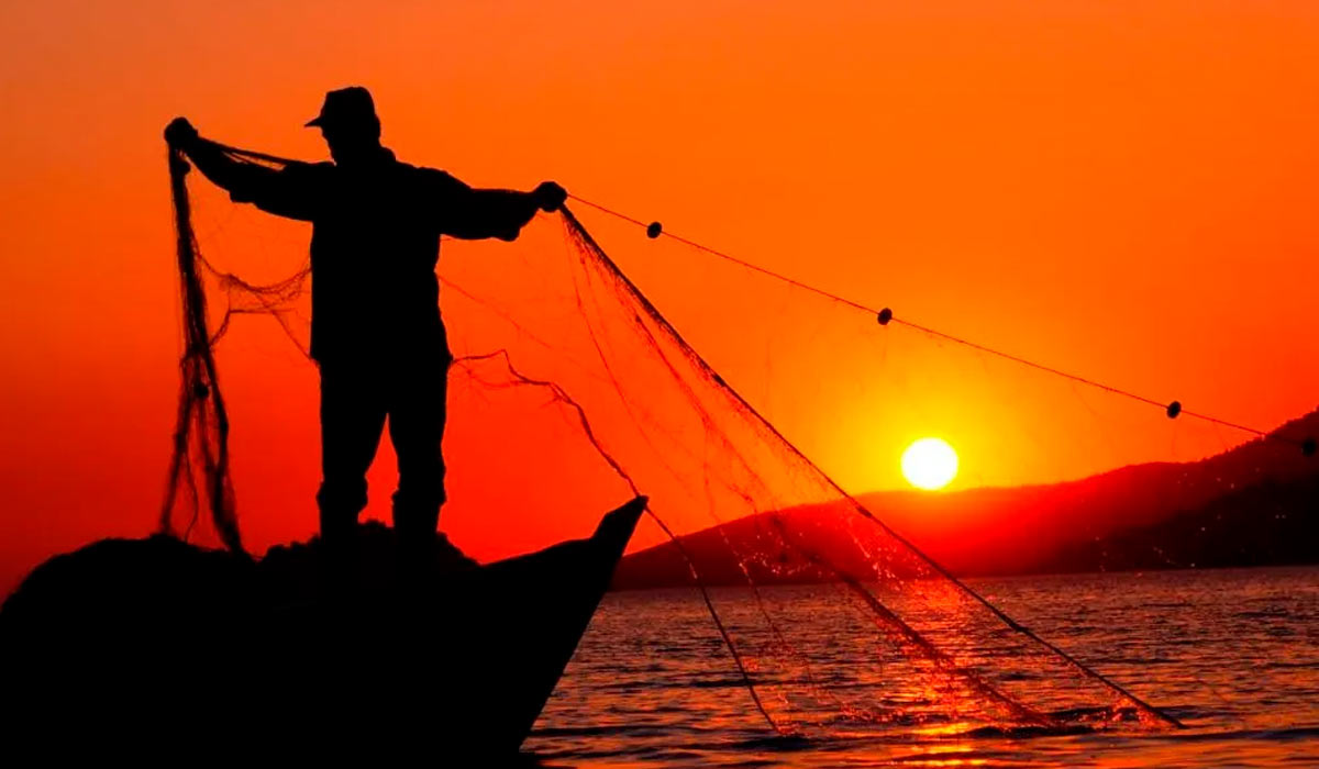 Governo cancela mais de 76 mil licenças de pesca