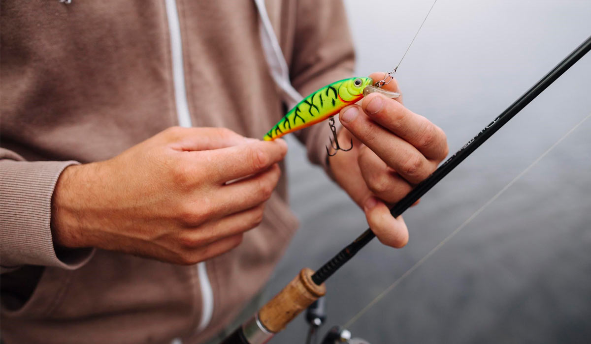 Escolher a isca certa envolve considerar as condições da água, o clima e a espécie alvo Escolher a isca certa envolve considerar as condições da água, o clima e a espécie alvo