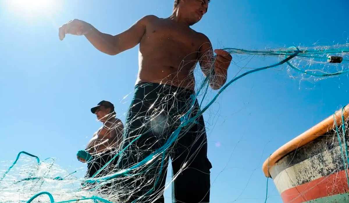 Pescador artesanal manuseando sua rede Pescador artesanal manuseando sua rede