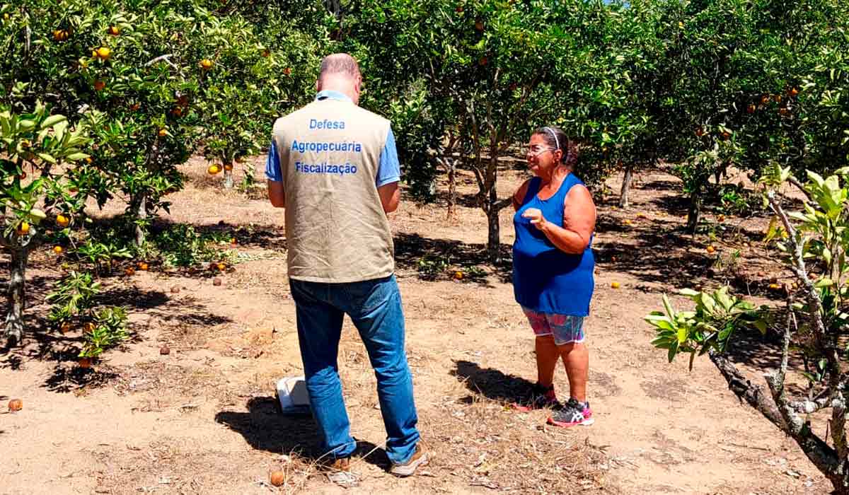 Agente da Defesa Agropecuária em operação de campo junto a uma produtora rural Agente da Defesa Agropecuária em operação de campo junto a uma produtora rural