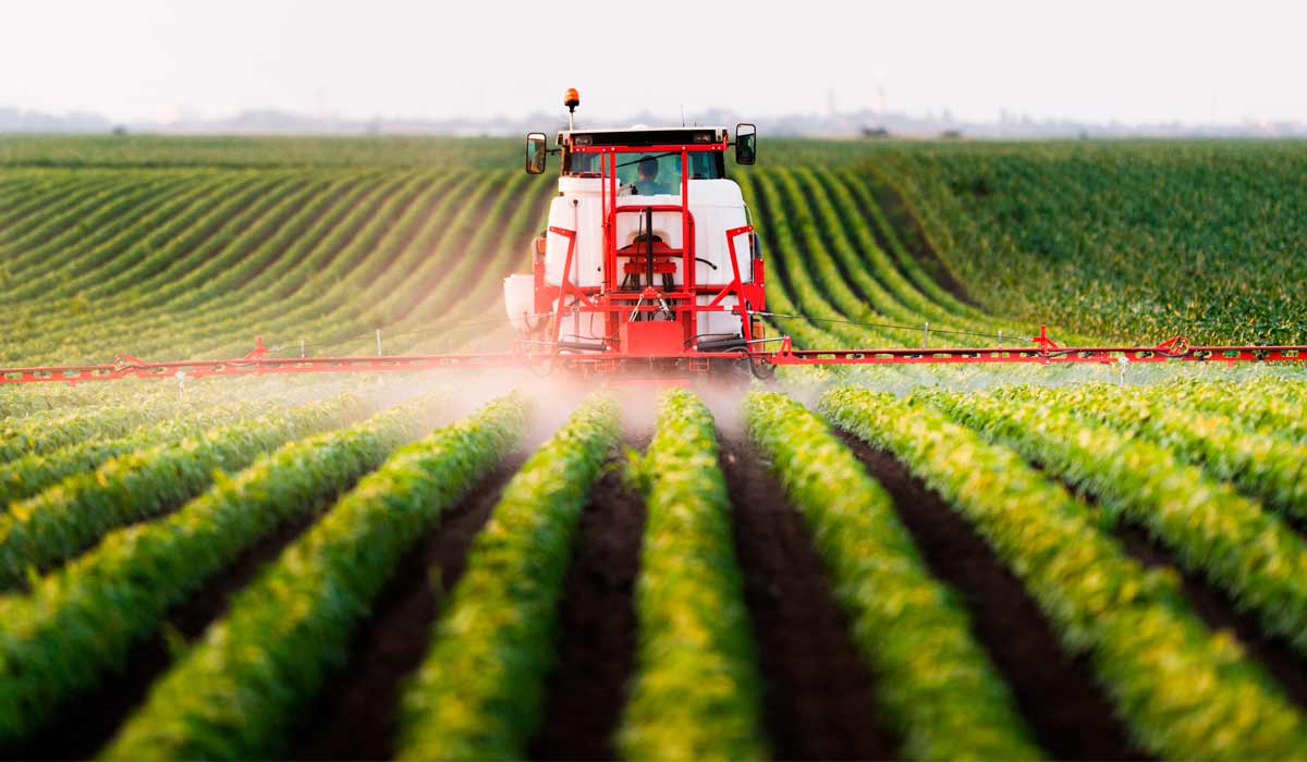 Estudo aponta que agrotóxicos estão mais nocivos em todo o mundo