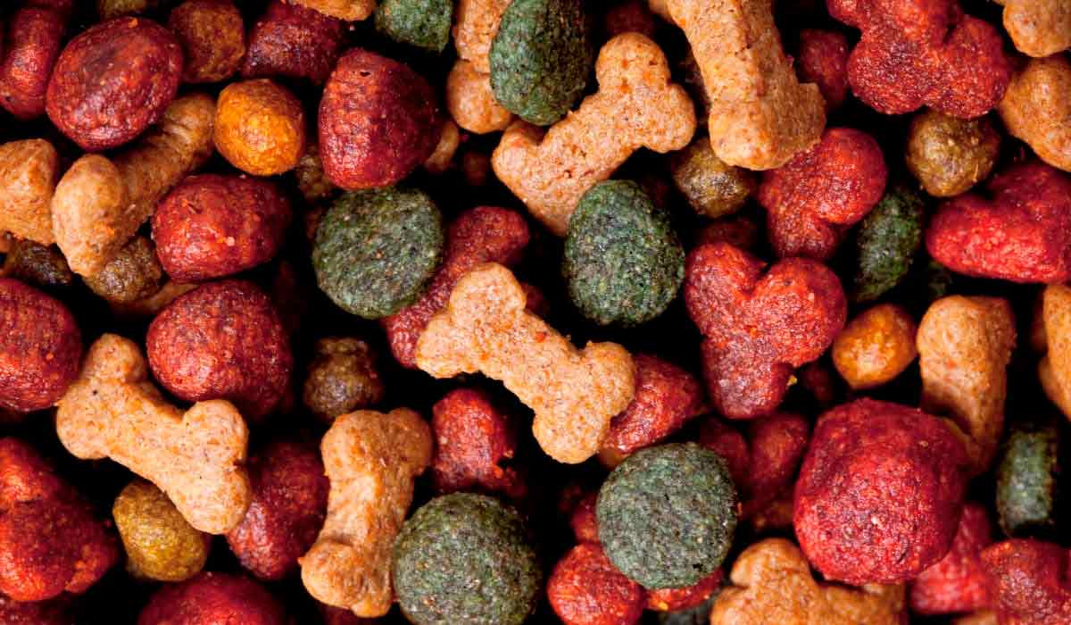 62,2% dos lares costarriquenhos possuem ao menos um cão ou gato, totalizando cerca de 1,78 milhão de animais 62,2% dos lares costarriquenhos possuem ao menos um cão ou gato, totalizando cerca de 1,78 milhão de animais