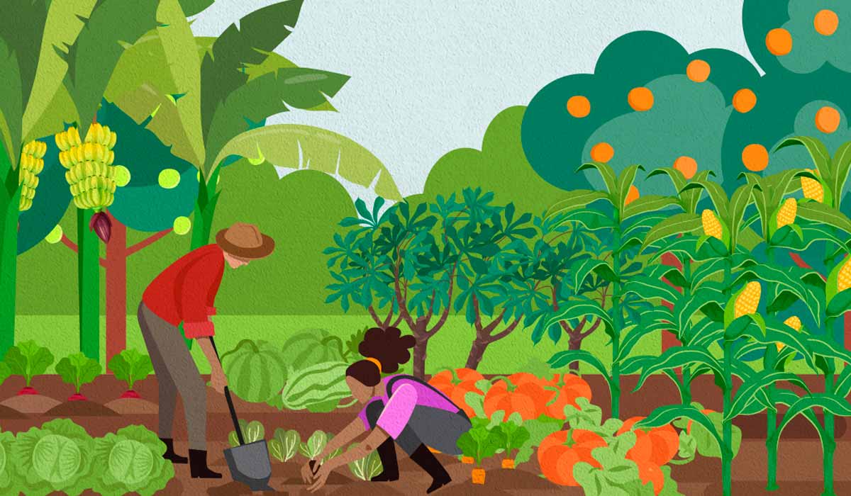 O Pronara beneficia diretamente os agricultores familiares num reforço essencial na transição para práticas mais sustentáveis O Pronara beneficia diretamente os agricultores familiares num reforço essencial na transição para práticas mais sustentáveis