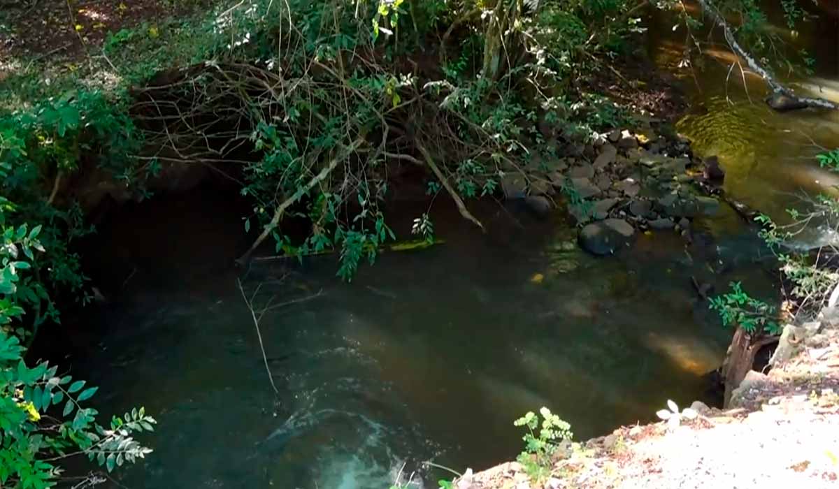 Um dos córregos que receberam tratamento com o biolarvicida - Foto: Catve Um dos córregos que receberam tratamento com o biolarvicida - Foto: Catve