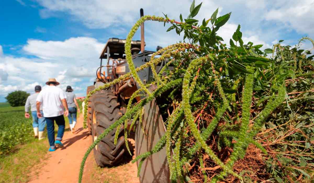 Portaria dá sequência aos trabalhos realizados desde a confirmação do foco em 3 de fevereiro - Foto: Gilberto Marques Portaria dá sequência aos trabalhos realizados desde a confirmação do foco em 3 de fevereiro - Foto: Gilberto Marques