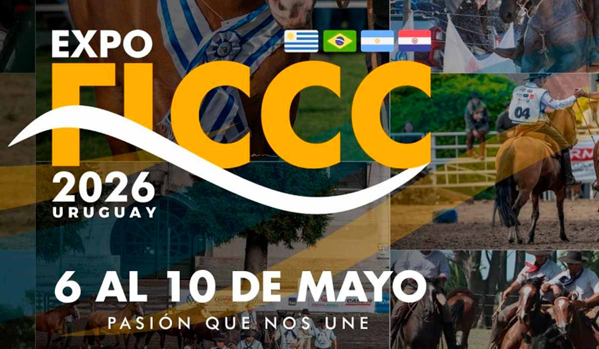 Chamada para a Expo FICCC 2026