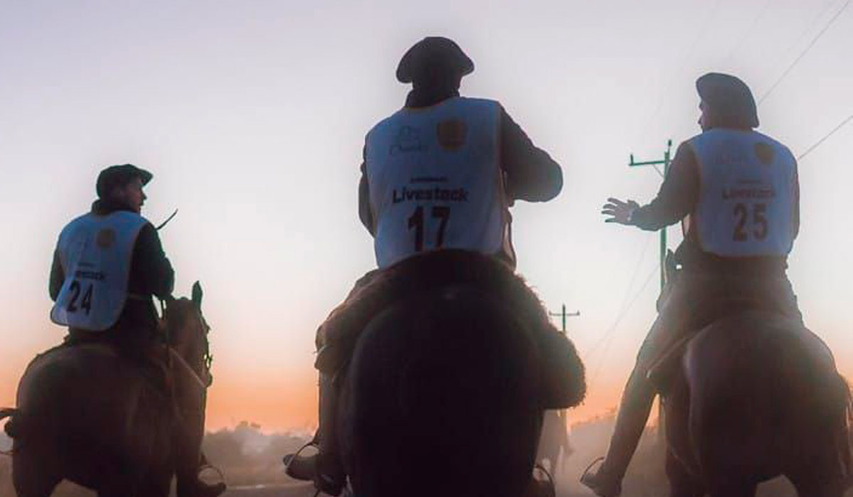 Marcha Anual de Resistência do cavalo crioulo recebe inscrições