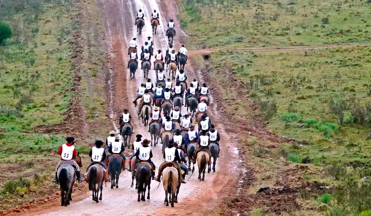 A expectativa para 2026 é de ampla participação de criadores e exemplares de destaque A expectativa para 2026 é de ampla participação de criadores e exemplares de destaque