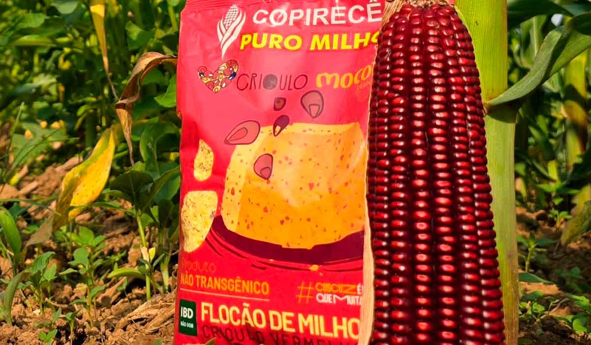 Flocão de Milho Crioulo Vermelho da Copirecê Flocão de Milho Crioulo Vermelho da Copirecê
