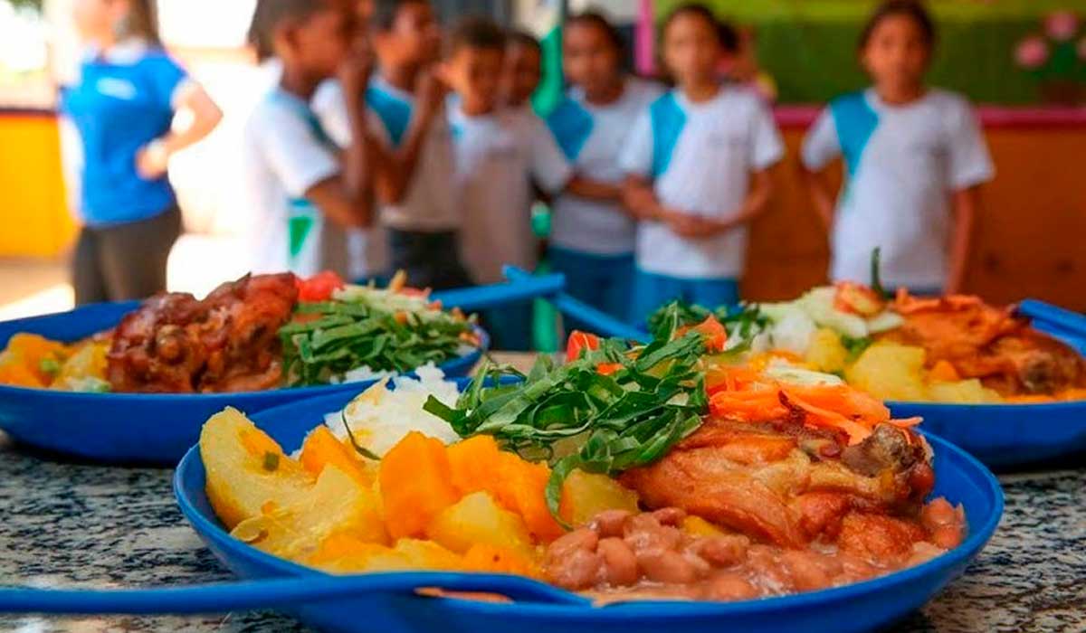 O Programa Nacional de Alimentação Escolar (PNAE) representa uma oportunidade de mercado para os pequenos produtores O Programa Nacional de Alimentação Escolar (PNAE) representa uma oportunidade de mercado para os pequenos produtores