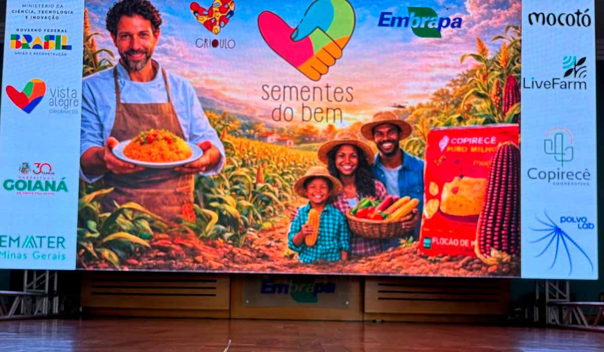 Painel do Seminário - Foto: Gáudio Bassoli Painel do Seminário - Foto: Gáudio Bassoli