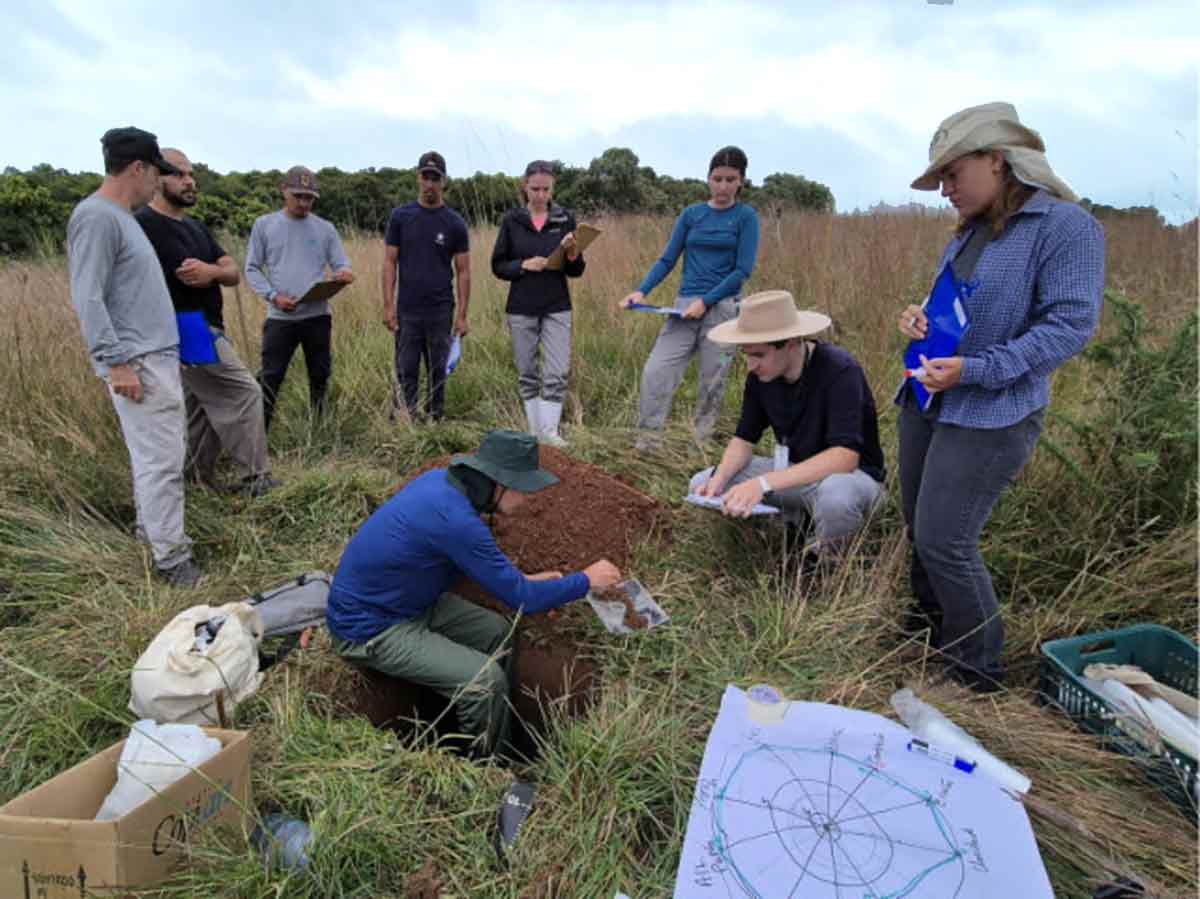 Tal como um corpo de jurados, grupo atribui notas visuais que geram um gráfico no próprio campo - Fotos: Pablo Gomes/Epagri Tal como um corpo de jurados, grupo atribui notas visuais que geram um gráfico no próprio campo - Fotos: Pablo Gomes/Epagri