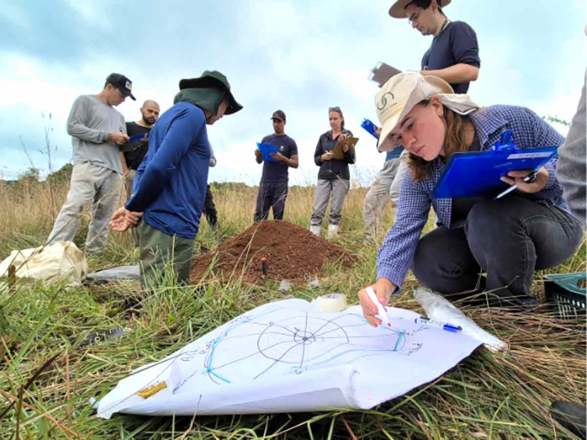 Quanto mais aberto e circular for o gráfico, melhor é a nota e a qualidade do solo - Fotos: Pablo Gomes/Epagri Quanto mais aberto e circular for o gráfico, melhor é a nota e a qualidade do solo - Fotos: Pablo Gomes/Epagri