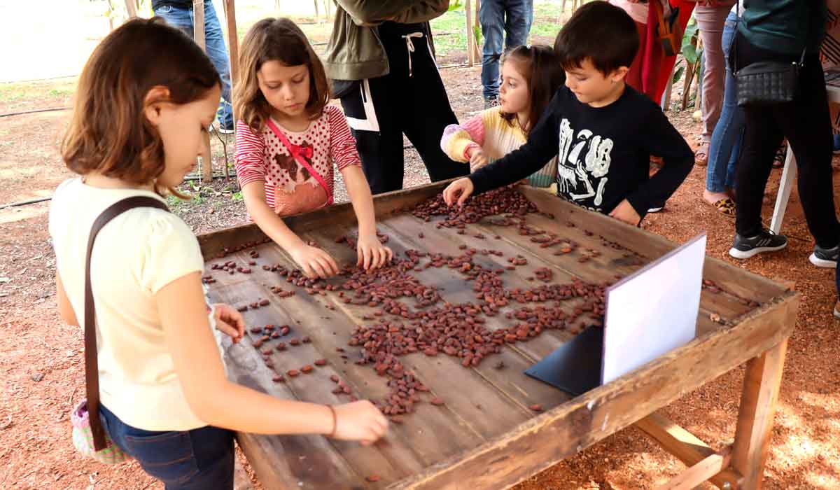 Interatividade com as crianças Interatividade com as crianças