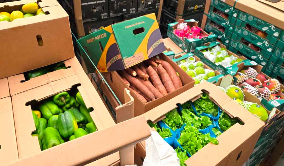 Operação partiu de Viracopos (SP). A nova logística reduz o tempo de transporte e preserva a qualidade dos alimentos - Foto: Fermac Operação partiu de Viracopos (SP). A nova logística reduz o tempo de transporte e preserva a qualidade dos alimentos - Foto: Fermac