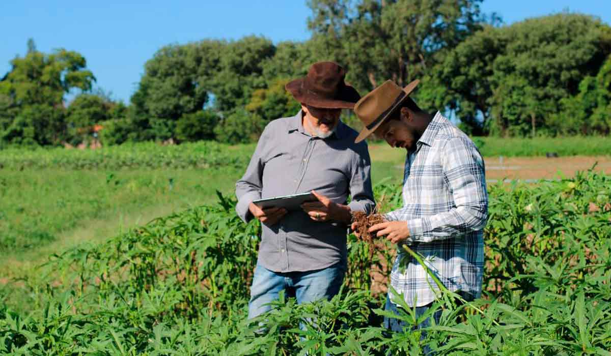 A Assistência Técnica e Extensão Rural (ATER) é fundamental para a disseminação de práticas agrícolas mais eficientes e de tecnologias que contribuam para o aumento da produtividade no campo A Assistência Técnica e Extensão Rural (ATER) é fundamental para a disseminação de práticas agrícolas mais eficientes e de tecnologias que contribuam para o aumento da produtividade no campo