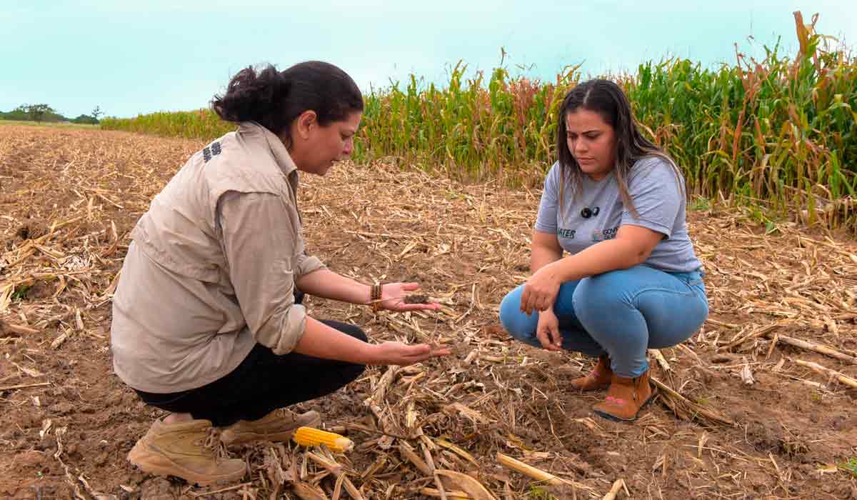 Os profissionais de ATER são importantes na orientação dos produtores rurais sobre programas de governo, linhas de crédito e exigências legais, além de ajudá-los na adoção de modelos de produção mais sustentáveis, que favoreçam a regeneração dos ecossistemas Os profissionais de ATER são importantes na orientação dos produtores rurais sobre programas de governo, linhas de crédito e exigências legais, além de ajudá-los na adoção de modelos de produção mais sustentáveis, que favoreçam a regeneração dos ecossistemas