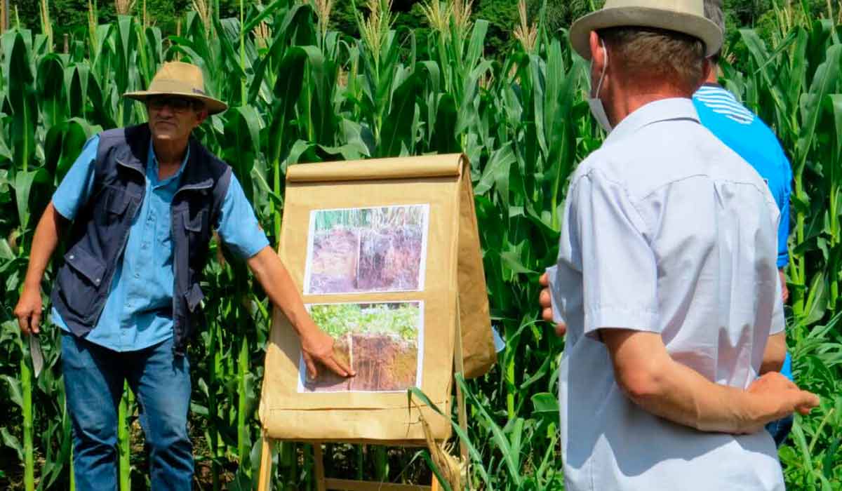 A ATER pode ser caracterizada como uma das principais políticas públicas de desenvolvimento rural