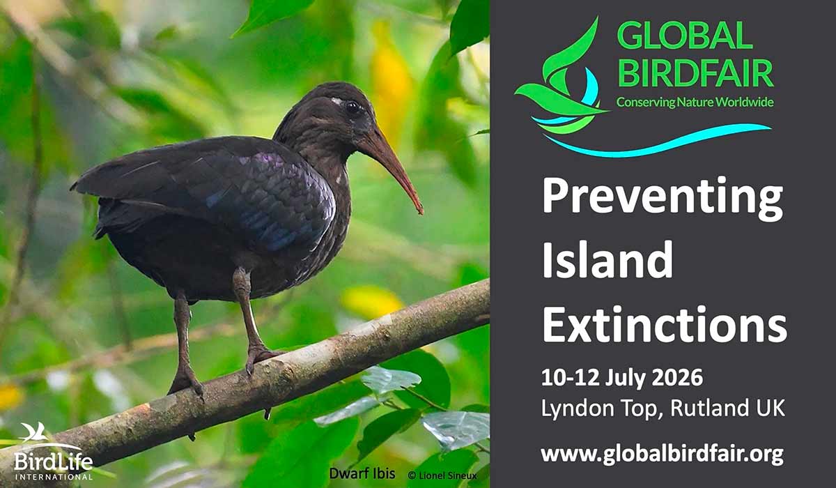 Chamada para a Global Birdfair 2026 Chamada para a Global Birdfair 2026