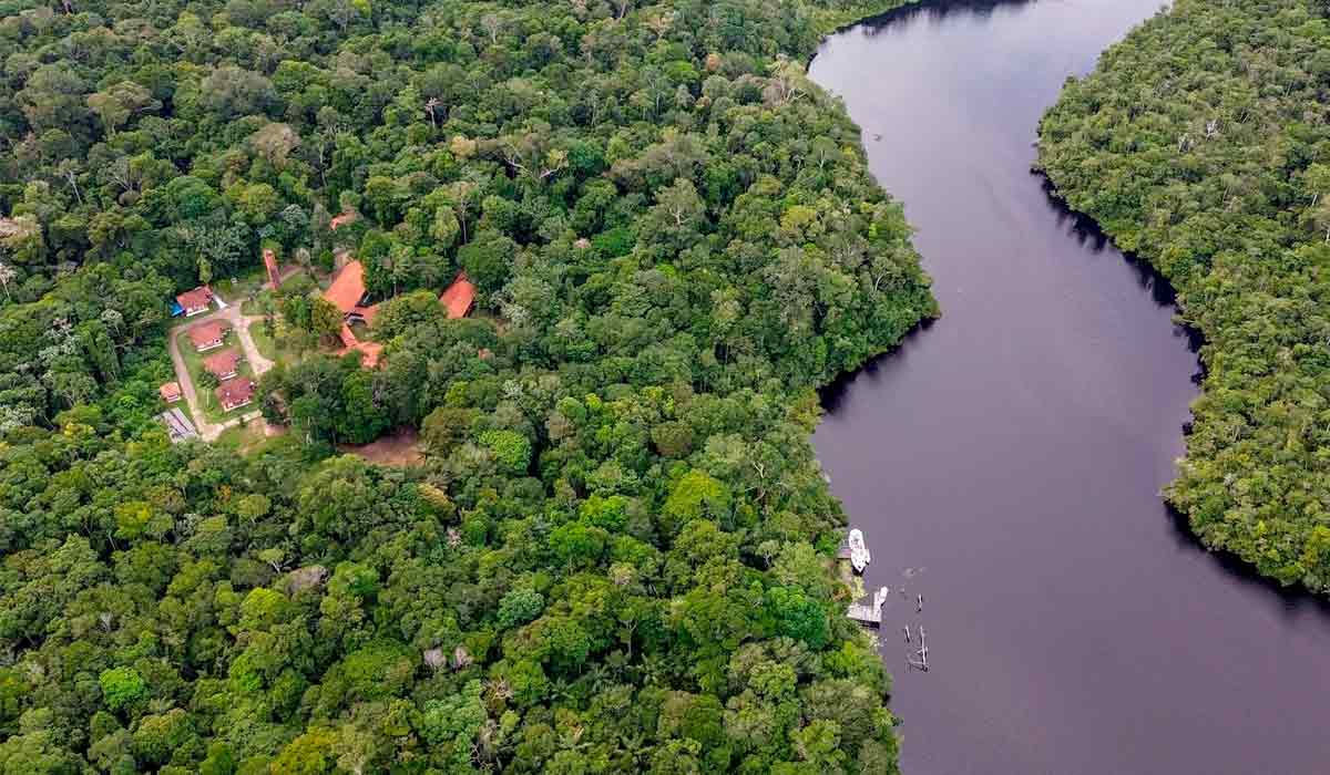 A Estação Científica Ferreira Penna influencia a vida de toda a comunidade da região - Foto: Lela Beltrão/Sumaúma A Estação Científica Ferreira Penna influencia a vida de toda a comunidade da região - Foto: Lela Beltrão/Sumaúma