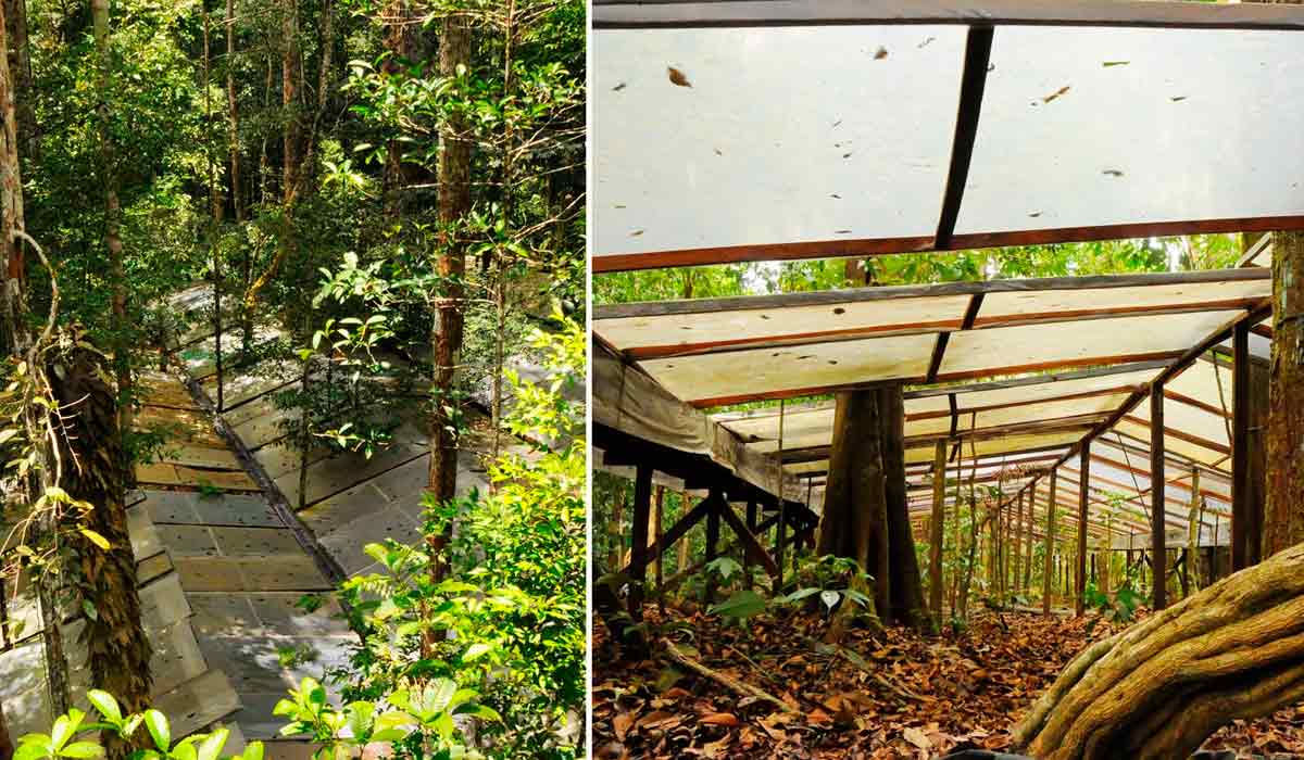 A cobertura de plástico do Estudo de seca da Floresta - Esecaflor que ajudou a medir o impacto das mudanças climáticas sobre a floresta - Foto: Rafael Oliveira A cobertura de plástico do Estudo de seca da Floresta - Esecaflor que ajudou a medir o impacto das mudanças climáticas sobre a floresta - Foto: Rafael Oliveira