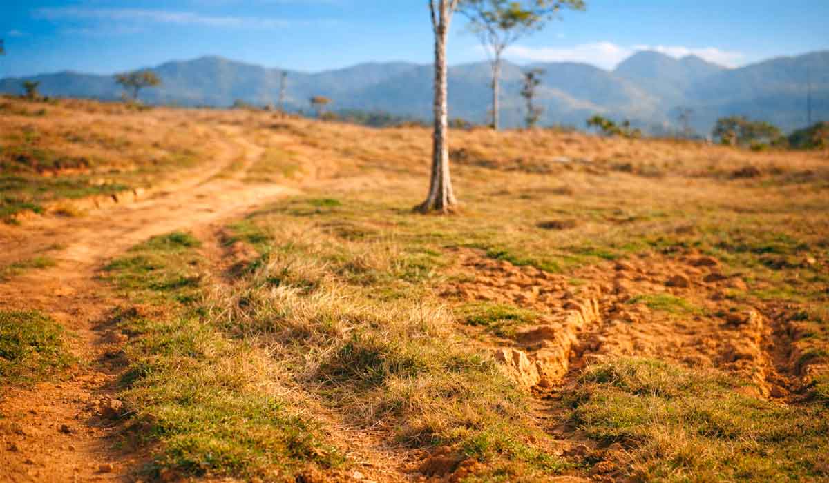 Conter graves consequências climáticas e perda de biodiversidade, envolve intensificar os modelos de produção e otimizar o uso de terras já desmatadas e degradadas porém, é tecnicamente possível recuperá-las e devolvê-las à produção ou aumentar sua utilização Conter graves consequências climáticas e perda de biodiversidade, envolve intensificar os modelos de produção e otimizar o uso de terras já desmatadas e degradadas porém, é tecnicamente possível recuperá-las e devolvê-las à produção ou aumentar sua utilização