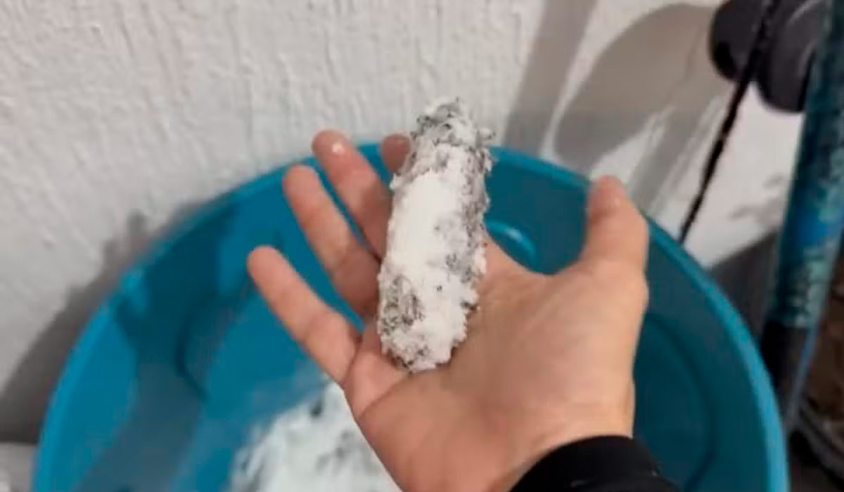 Os animais são envolvidos em sal antes da secagem Os animais são envolvidos em sal antes da secagem