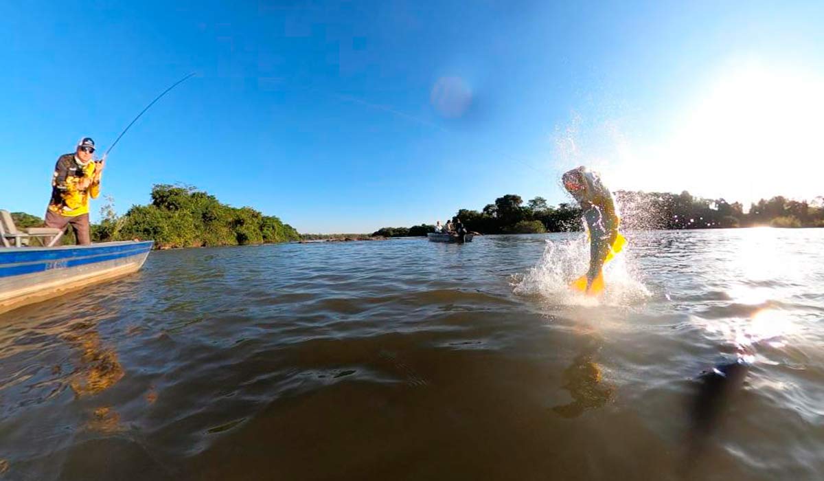 A atividade movimenta cerca de R$ 3 bilhões por ano no Brasil, gerando aproximadamente 200 mil empregos A atividade movimenta cerca de R$ 3 bilhões por ano no Brasil, gerando aproximadamente 200 mil empregos